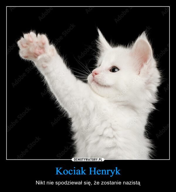 Kociak Henryk – Nikt nie spodziewał się, że zostanie nazistą 