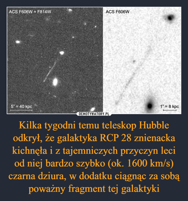Kilka tygodni temu teleskop Hubble odkrył, że galaktyka RCP 28 znienacka kichnęła i z tajemniczych przyczyn leci od niej bardzo szybko (ok. 1600 km/s) czarna dziura, w dodatku ciągnąc za sobą poważny fragment tej galaktyki –  ACS F606W + F814W5" = 40 kpcACS F606W1" = 8 kpc