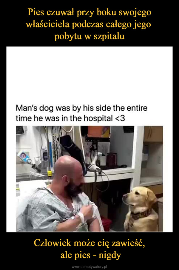 Człowiek może cię zawieść, ale pies - nigdy –  Man's dog was by his side the entiretime he was in the hospital <3Twww.wwwwwwwwon itsethi