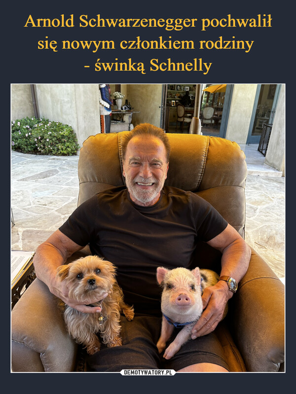 Arnold Schwarzenegger pochwalił się nowym członkiem rodziny 
- świnką Schnelly
