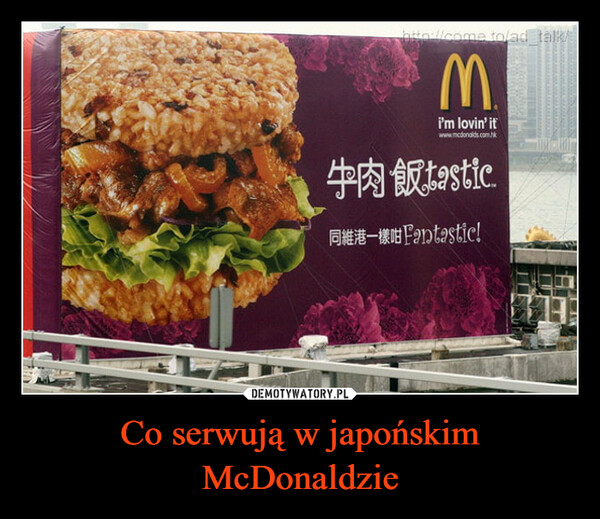 Co serwują w japońskim McDonaldzie –  http://come to/ad_talk/M.i'm lovin' itwww.mcdonalds.com.hk牛肉飯astic.-Fantastic!