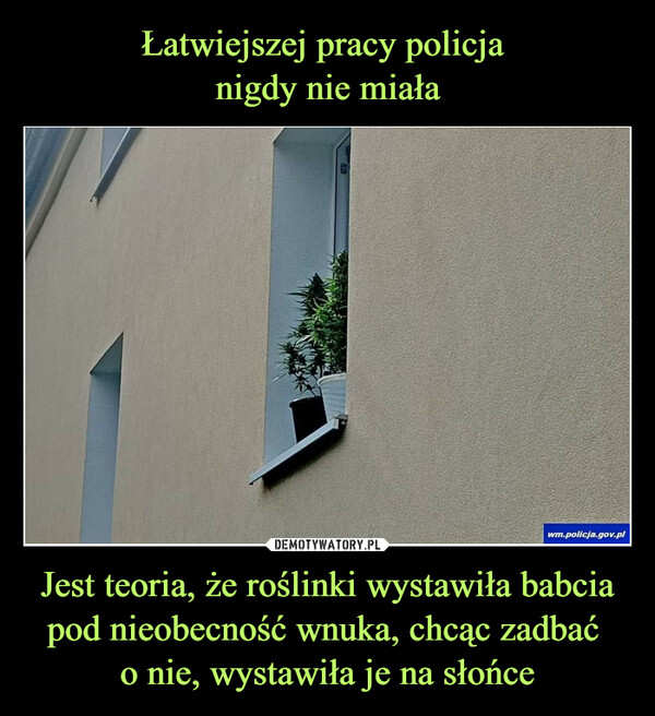 Jest teoria, że roślinki wystawiła babcia pod nieobecność wnuka, chcąc zadbać o nie, wystawiła je na słońce –  wm.policja.gov.pl