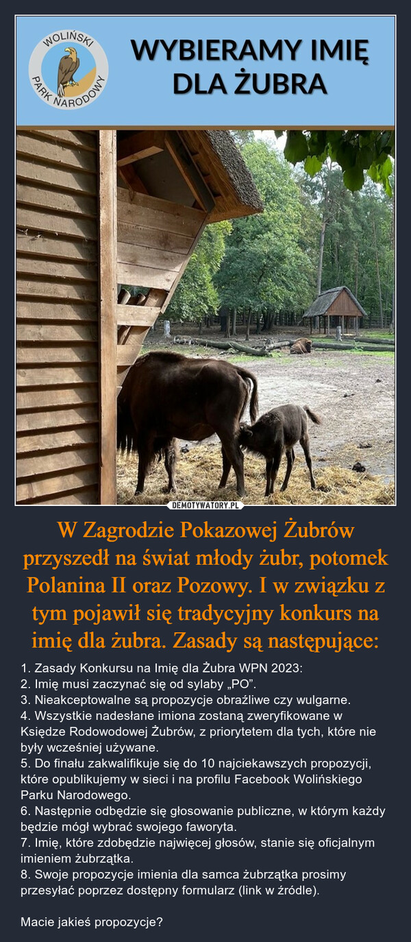 W Zagrodzie Pokazowej Żubrów przyszedł na świat młody żubr, potomek Polanina II oraz Pozowy. I w związku z tym pojawił się tradycyjny konkurs na imię dla żubra. Zasady są następujące: