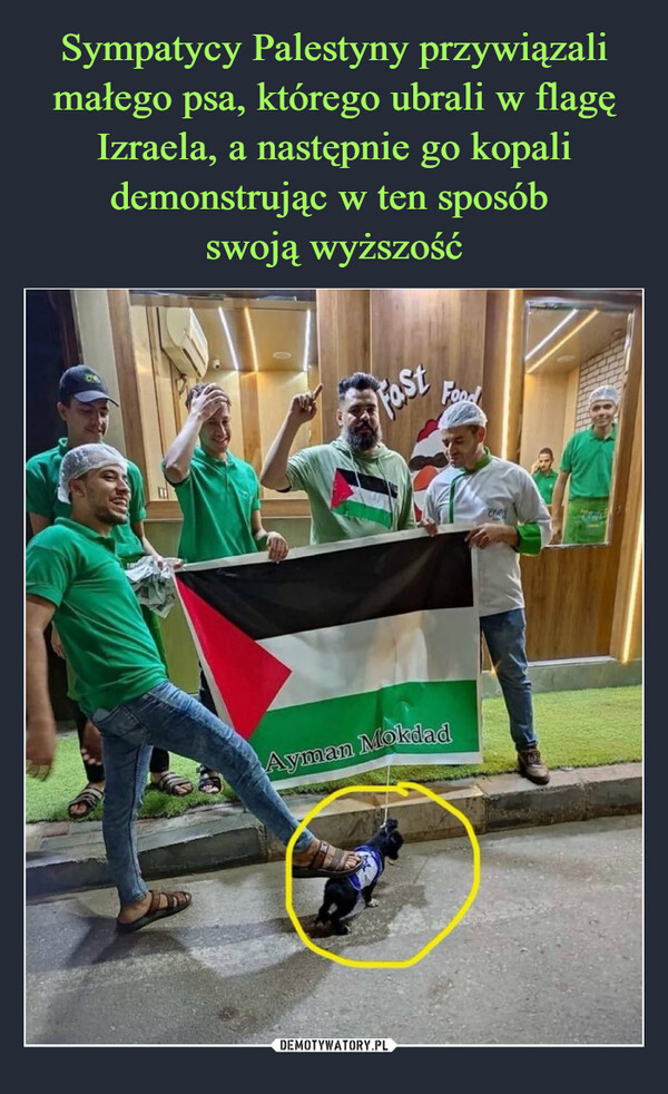 Sympatycy Palestyny przywiązali małego psa, którego ubrali w flagę Izraela, a następnie go kopali demonstrując w ten sposób 
swoją wyższość