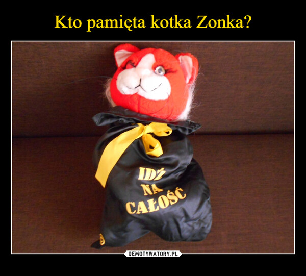 Kto pamięta kotka Zonka?