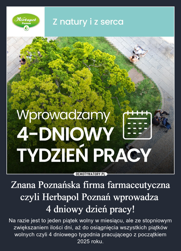 Znana Poznańska firma farmaceutyczna czyli Herbapol Poznań wprowadza 4 dniowy dzień pracy! – Na razie jest to jeden piątek wolny w miesiącu, ale ze stopniowym zwiększaniem ilości dni, aż do osiągnięcia wszystkich piątków wolnych czyli 4 dniowego tygodnia pracującego z początkiem 2025 roku. HerbapotPoznańZ natury i z sercaWprowadzamy4-DNIOWYTYDZIEŃ PRACY