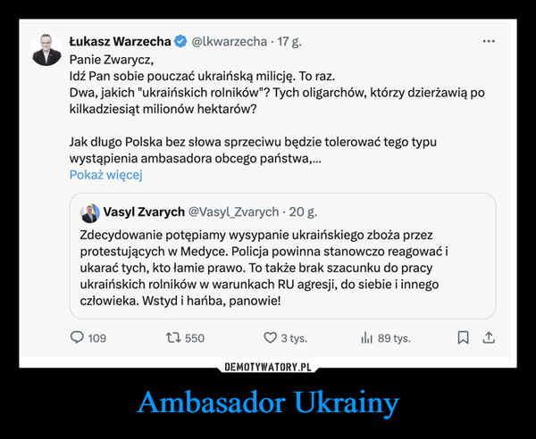Ambasador Ukrainy