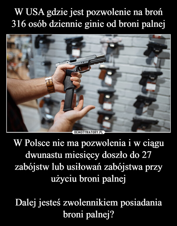 W USA gdzie jest pozwolenie na broń 316 osób dziennie ginie od broni palnej W Polsce nie ma pozwolenia i w ciągu dwunastu miesięcy doszło do 27 zabójstw lub usiłowań zabójstwa przy użyciu broni palnej

Dalej jesteś zwolennikiem posiadania broni palnej?