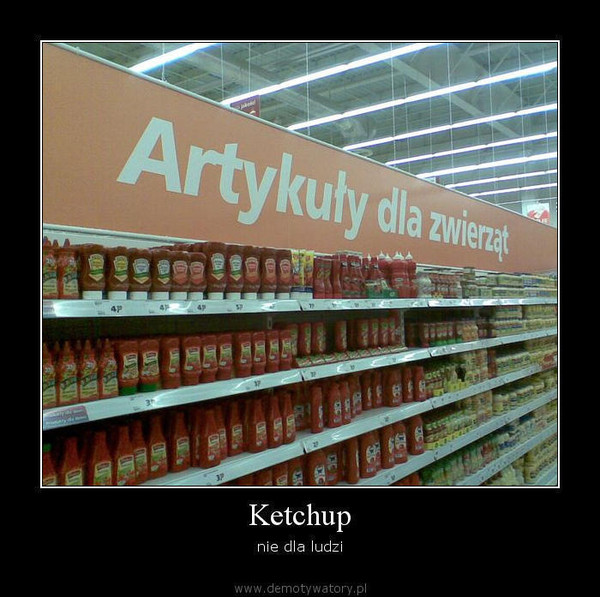 Ketchup – nie dla ludzi  